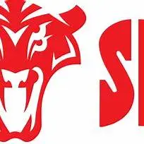 Logo brenda Lamborghini