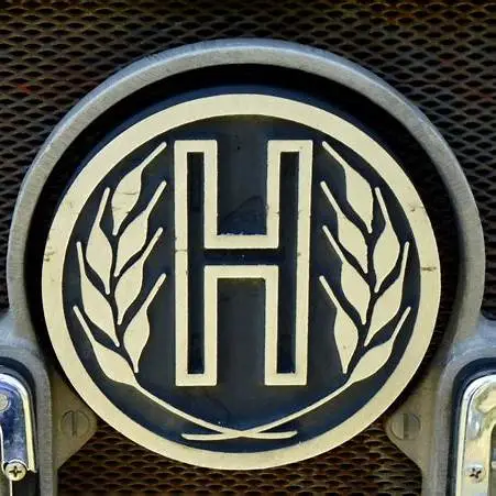 Logo brenda Hürlimann