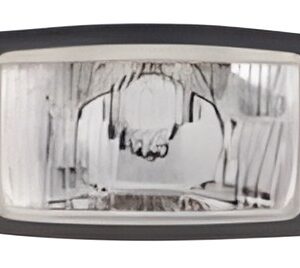 Prednje svjetlo (far) 1015549COBO