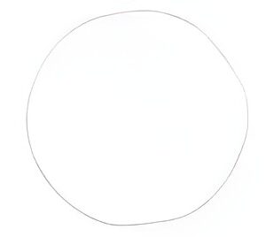 Brtva, kućište filtra ulja R502513-JD