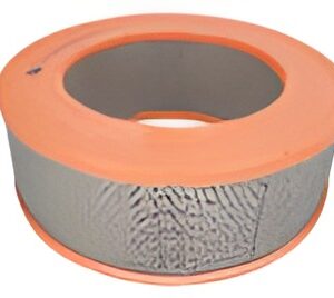 Filter zraka C 31 220