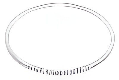 Prstenasti zupčanik, zamašnjak 31162121-PER