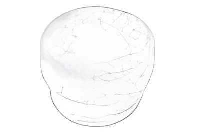 Gumeni pokrov, glavni kočioni cilindar 7700007819-CL