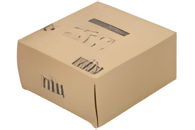 Set letećih ležajeva radilice 500055463-FPT