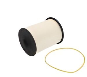 Filter goriva FS19855