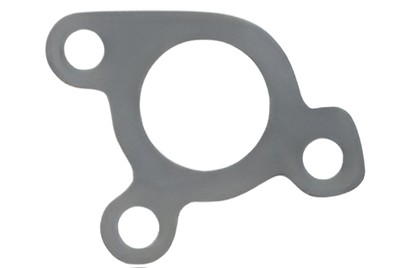 Brtva pumpe vode R100569-FP